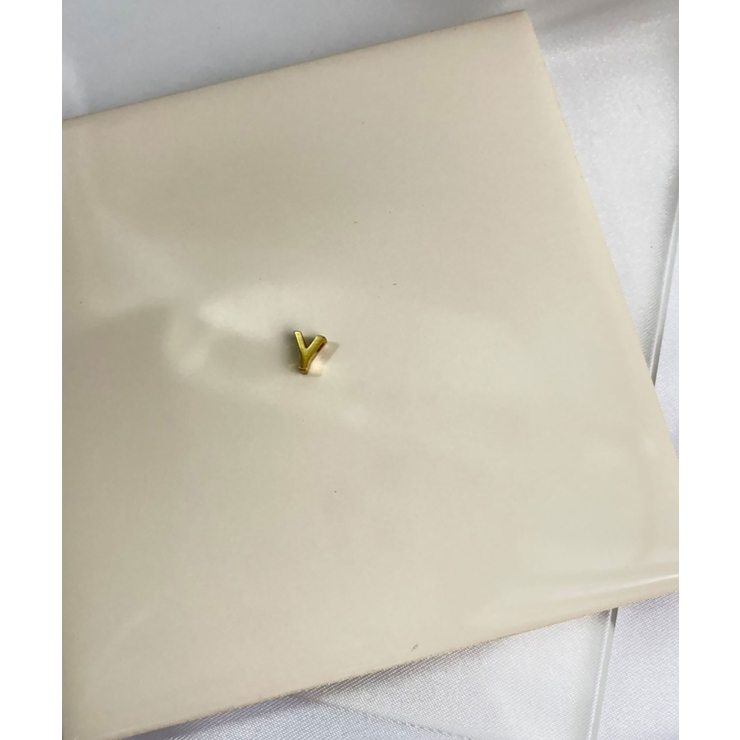 イニシャルチャーム Stainless 316L | earyear | 詳細画像51 