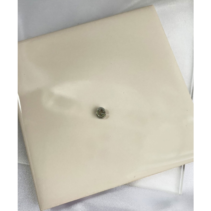 G_S | イニシャルチャーム Stainless 316L | earyear