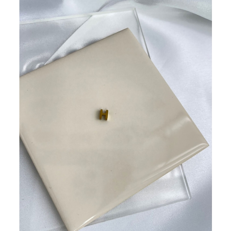 H_G | イニシャルチャーム Stainless 316L | earyear