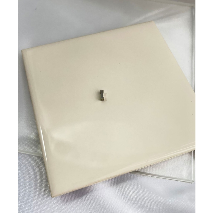 I_S | イニシャルチャーム Stainless 316L | earyear