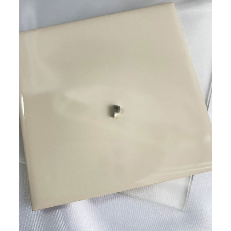 P_S | イニシャルチャーム Stainless 316L | earyear