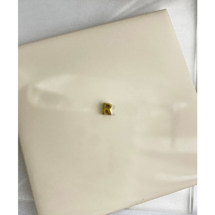 R_G | イニシャルチャーム Stainless 316L | earyear