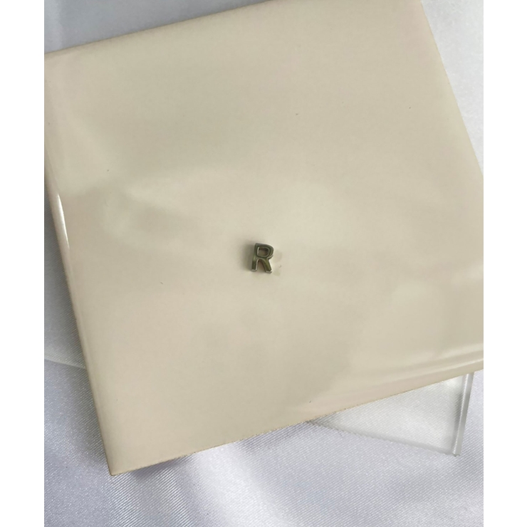 R_S | イニシャルチャーム Stainless 316L | earyear