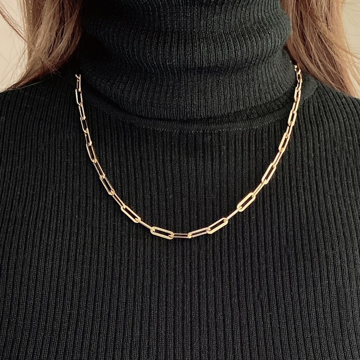 Y字レオンチェーンステンレスネックレス サージカルステンレス SUS316L | FACION | 詳細画像11 