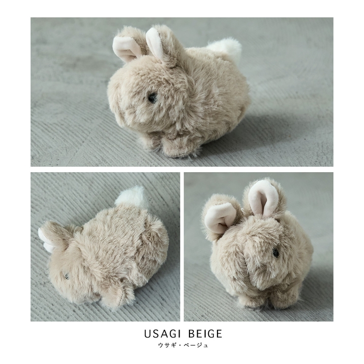 Fashion Letter ファッションレター | Fashion Letter | 詳細画像17 