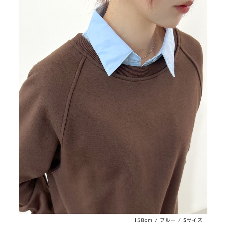 ブルー | ベーシックシャツつけ襟 | futier land