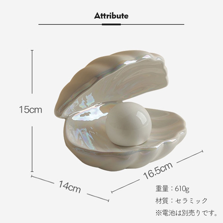 シェル ランプ 小物入れ | GOLWIS | 詳細画像12 