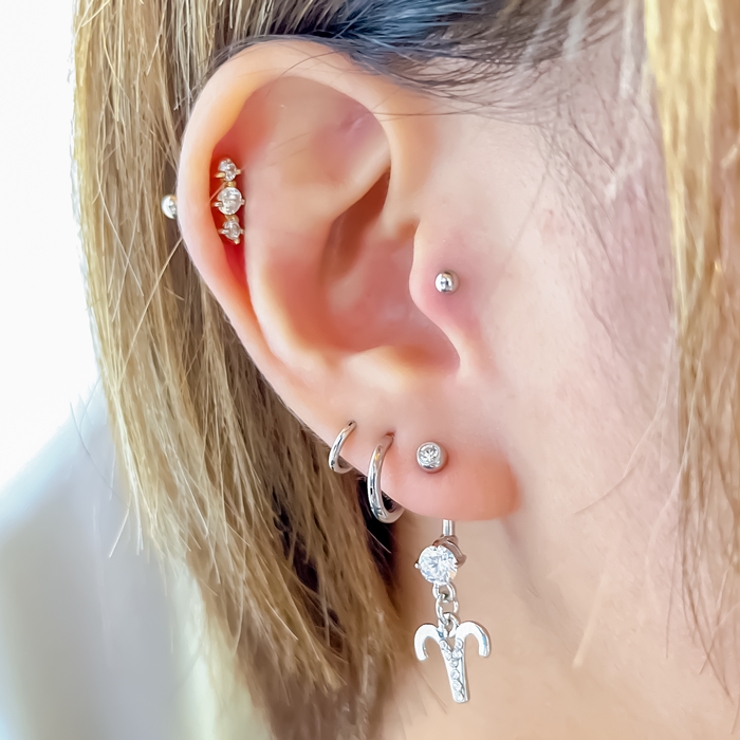 14G 星座 バナナバーベル | ピアス専門店HOMESLICEPRODUCTIONS | 詳細画像5 