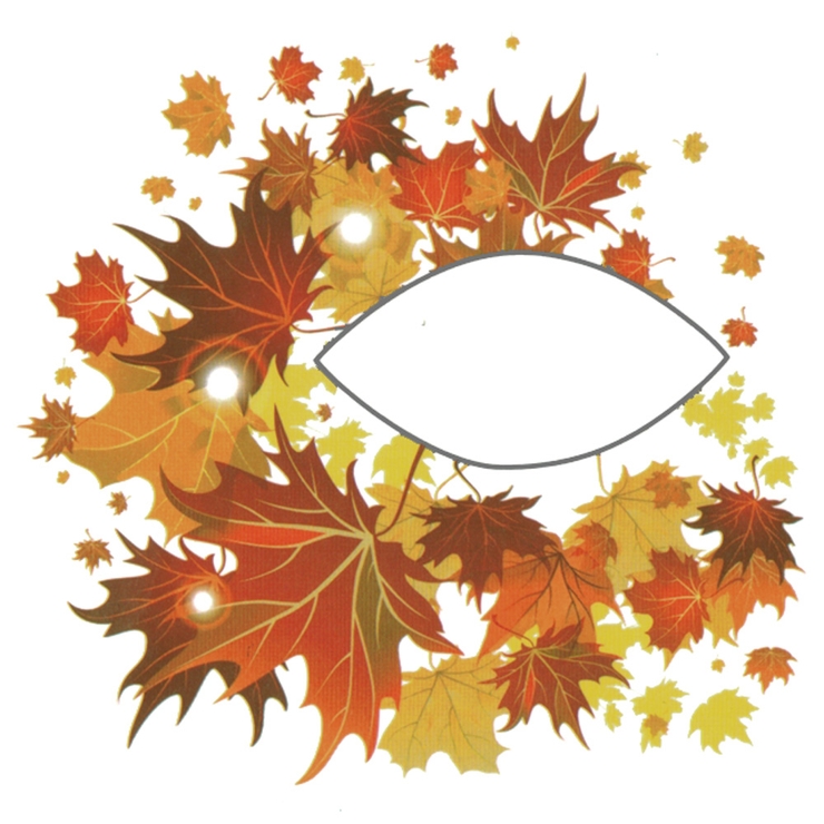 アイメイク タトゥーシールオータムリーフ【アイシャドー アイライナー | ピアス専門店HOMESLICEPRODUCTIONS | 詳細画像3 