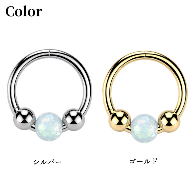 ボディピアス 18G セグメントリング | ピアス専門店HOMESLICEPRODUCTIONS | 詳細画像2 