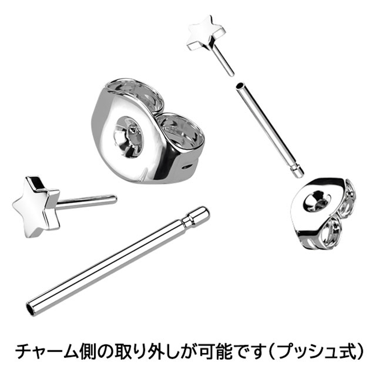 ピアス インプラントグレードチタン グラフィック | ピアス専門店HOMESLICEPRODUCTIONS | 詳細画像3 