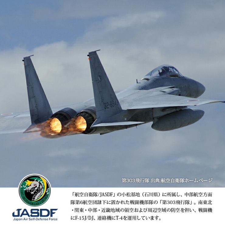 航空自衛隊　F-15J チャーム　10個セット　タイプB