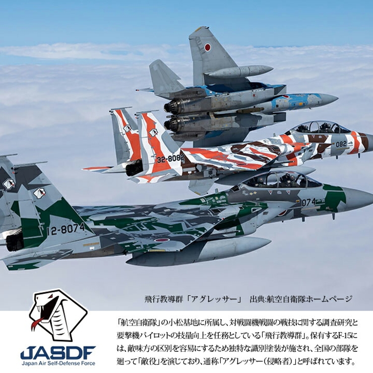 キーホルダー自衛隊 グッズ アグレッサー[品番：HKHM0006284]｜本格派