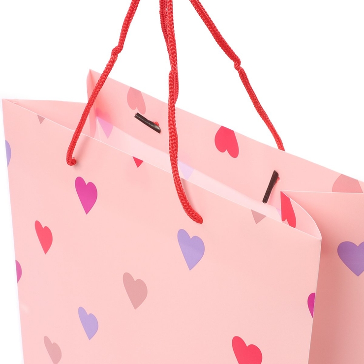 ショッピングバック 1.jpg