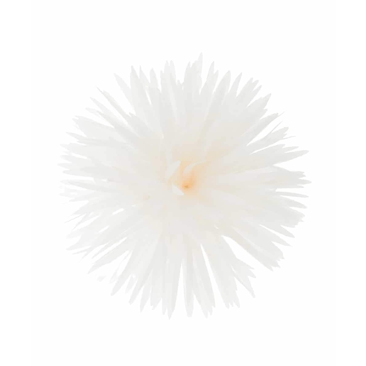 フェザーフラワーコサージュ | a.v.v【WOMEN】 | 詳細画像7 