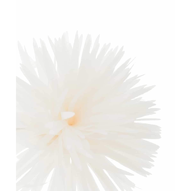 フェザーフラワーコサージュ | a.v.v【WOMEN】 | 詳細画像9 