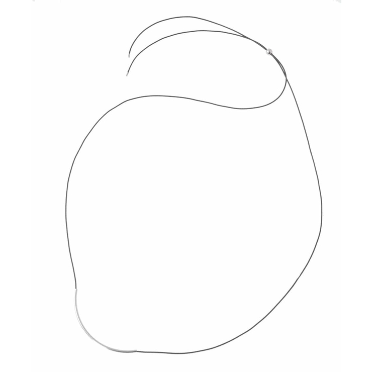 カーブトップチョーカーネックレス | a.v.v【WOMEN】 | 詳細画像6 