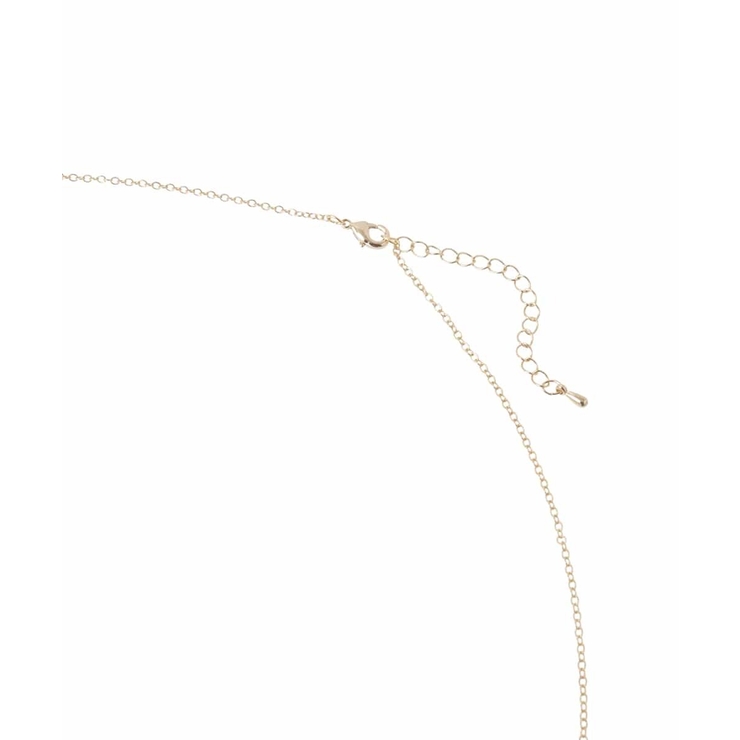 ダブルニュアンスリングネックレス | eur3 | 詳細画像5 