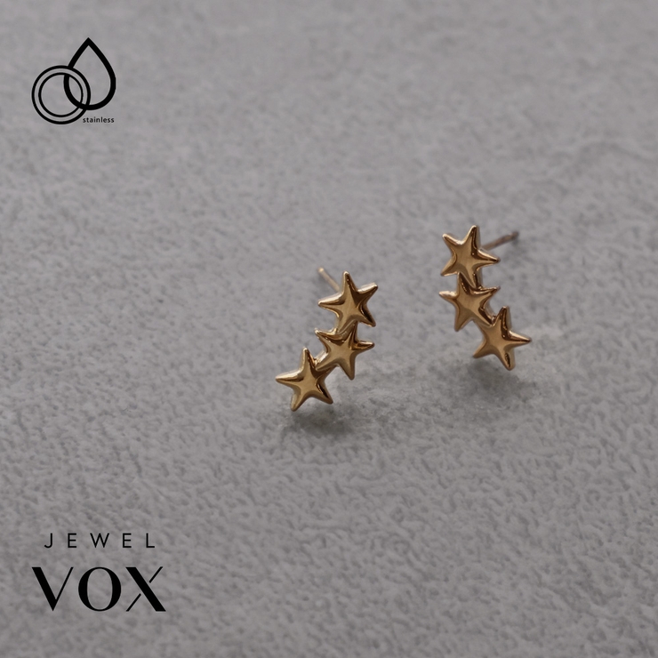 ピアス レディース ステンレス製 | Jewel vox | 詳細画像1 
