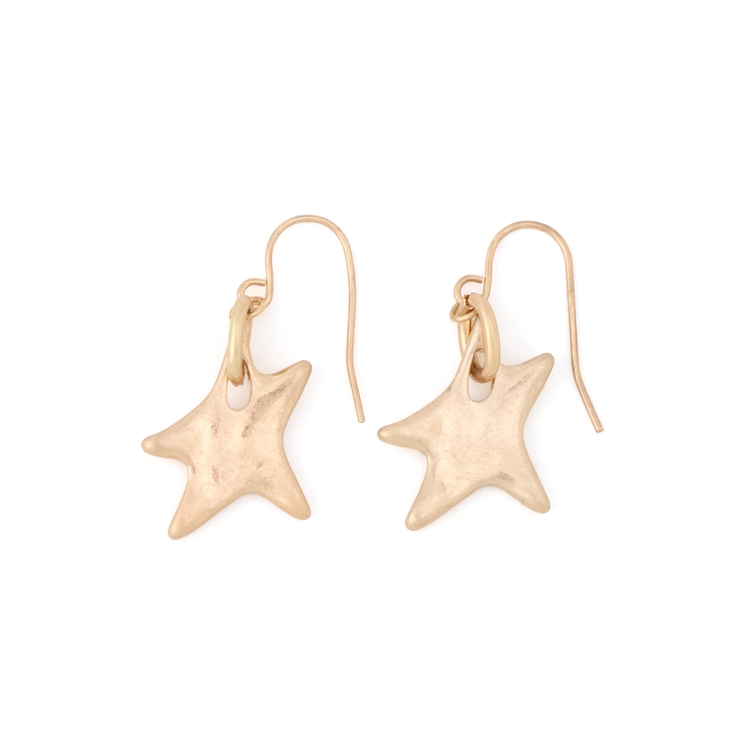 スターモチーフフックピアス | ROPE' PICNIC | 詳細画像1 