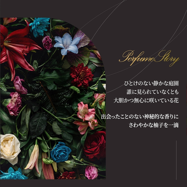 デビルズ２ シトラス バンジー | ONNY SHOP | 詳細画像5 