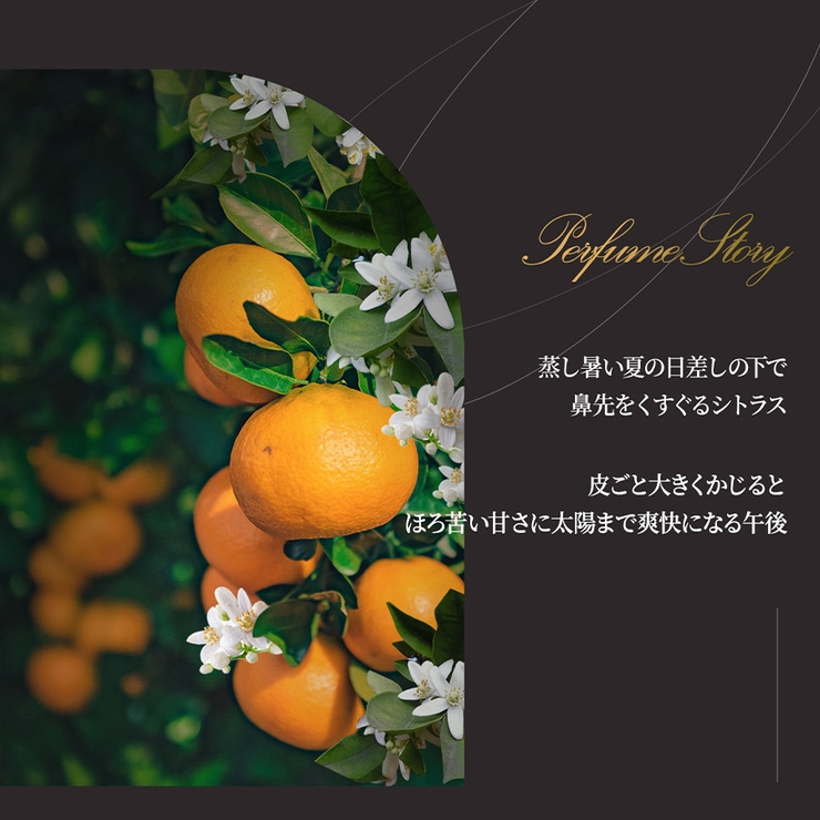 デビルズ２ シトラス バンジー | ONNY SHOP | 詳細画像11 