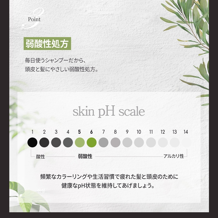 デビルズ２ シトラス バンジー | ONNY SHOP | 詳細画像15 