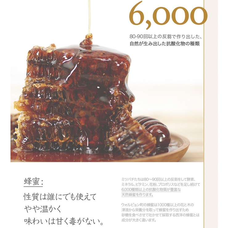 アイムフロム ハニーマスク I | lattencos | 詳細画像9 