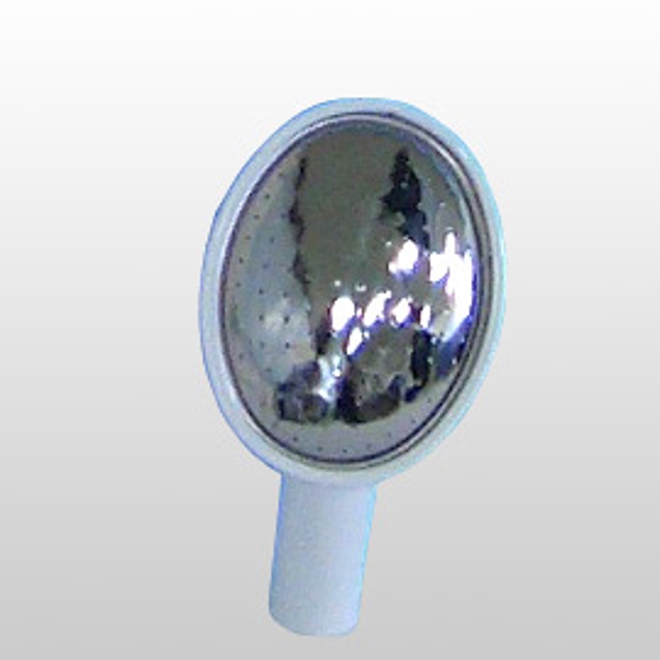 ハスの実 中 | livingut | 詳細画像1 