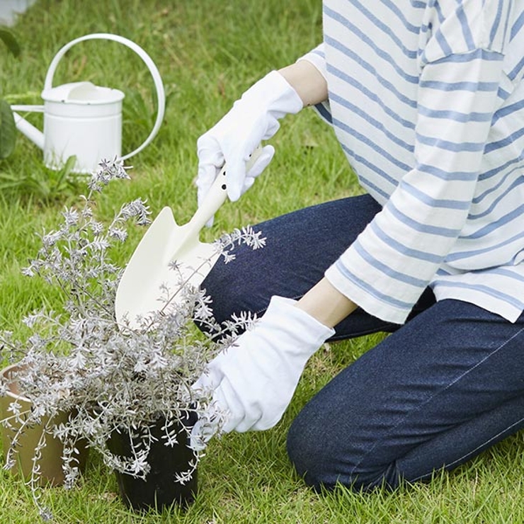 薄型インナーコットン手袋8枚入 アンダー手袋 乾燥対策 | livingut | 詳細画像6 