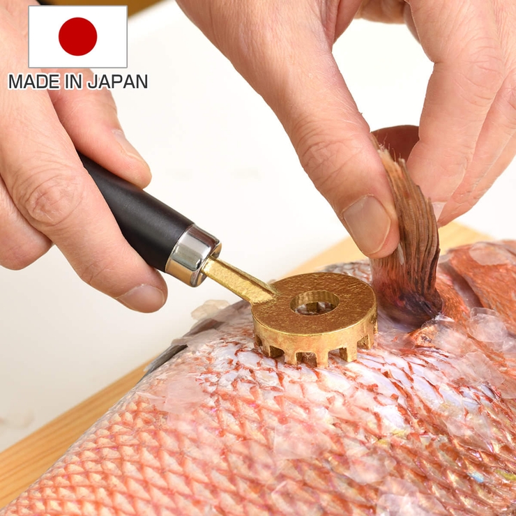 ウロコ取り 大人の焼魚 鱗とり | livingut | 詳細画像1 