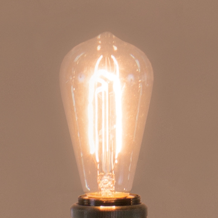 電球 エジソン球 S | livingut | 詳細画像2 