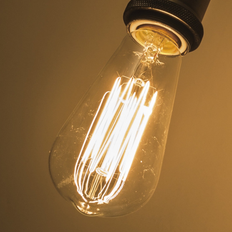 電球 エジソン球 L | livingut | 詳細画像2 