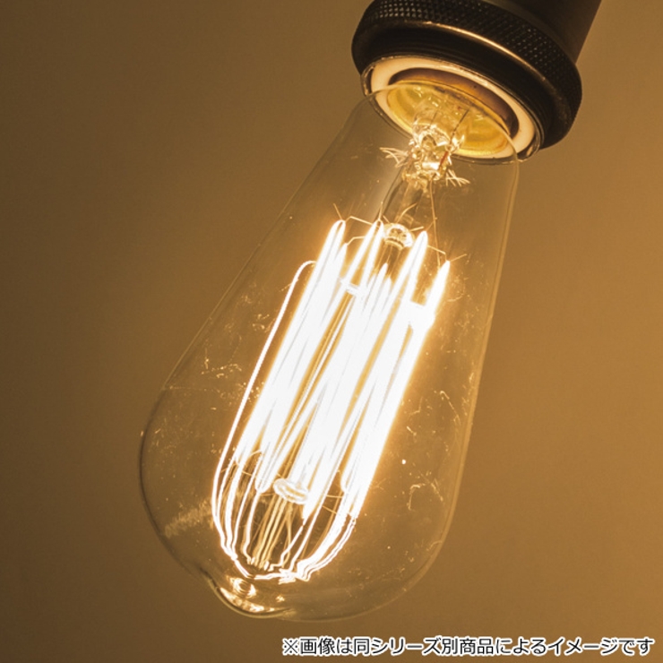 電球 エジソン球 SS | livingut | 詳細画像2 