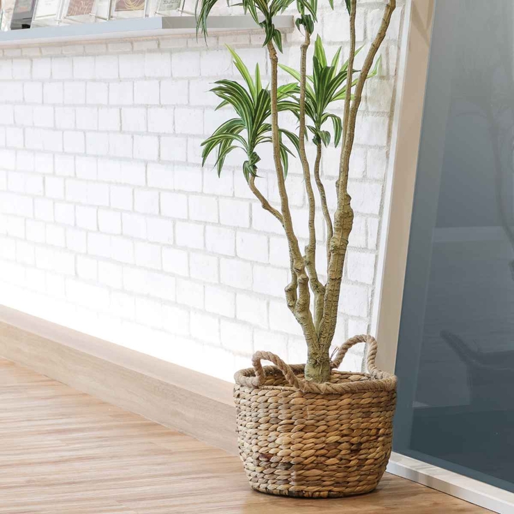 バスケット ロープハンドル ウォーターヒヤシンス | livingut | 詳細画像16 