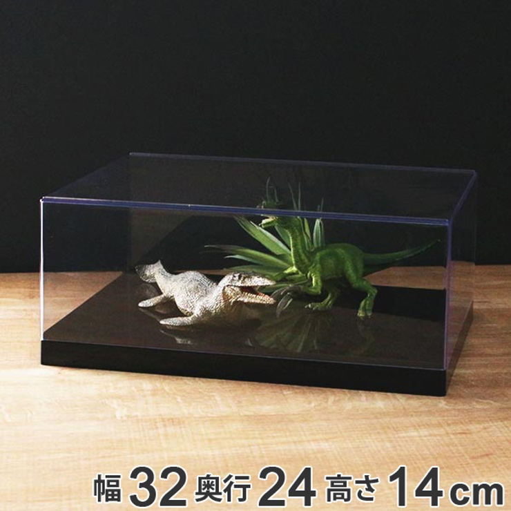 コレクションケース UVカット フラット型 | livingut | 詳細画像1 