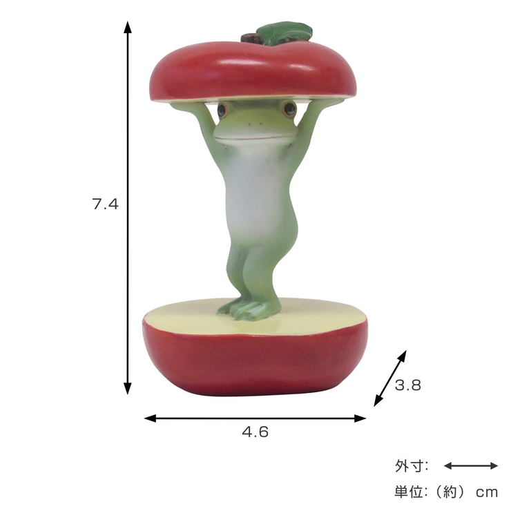 置き物 りんごからカエル Copeau | livingut | 詳細画像2 