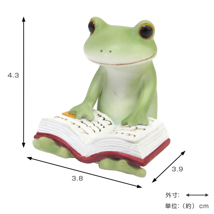 置き物 本読むカエル Copeau | livingut | 詳細画像2 