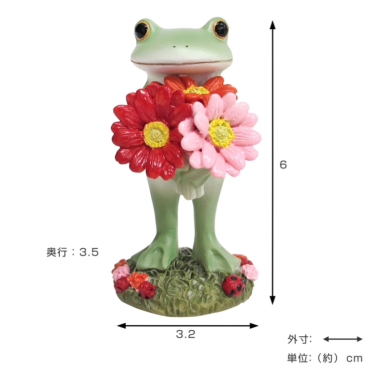 コポー ガーベラを持つカエル カエル | livingut | 詳細画像2 