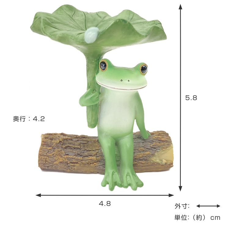 コポー ハスの葉で雨宿りするカエル カエル | livingut | 詳細画像2 