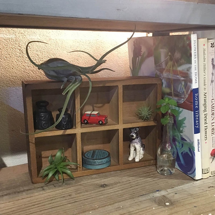 小物収納 ダルトン DULTON | livingut | 詳細画像1 