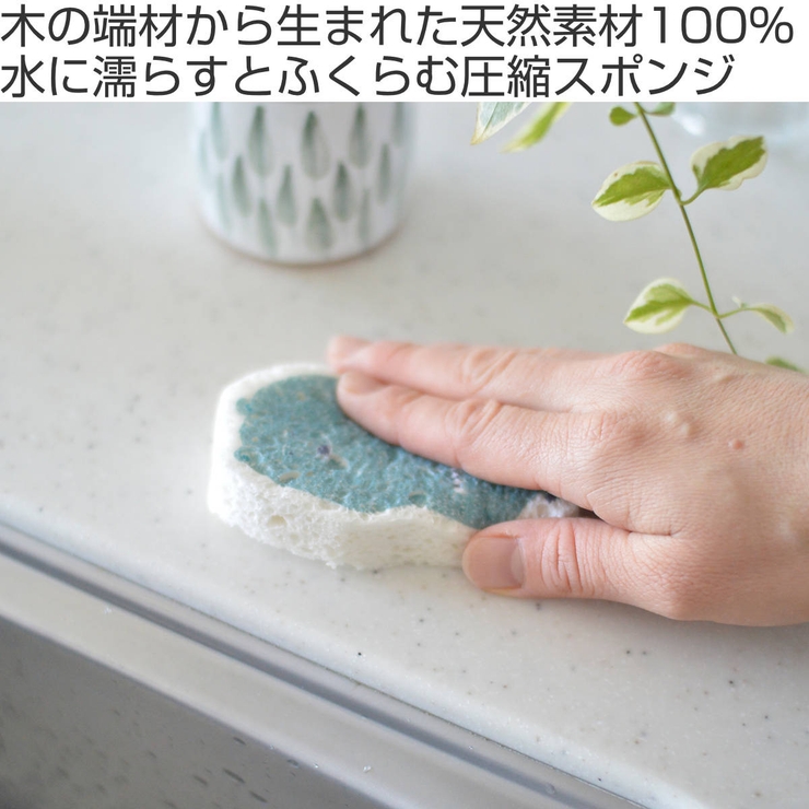 キッチンスポンジ e ポップアップスポンジ | livingut | 詳細画像2 