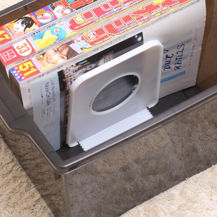 同人誌ケース B5 収納 | livingut | 詳細画像5 