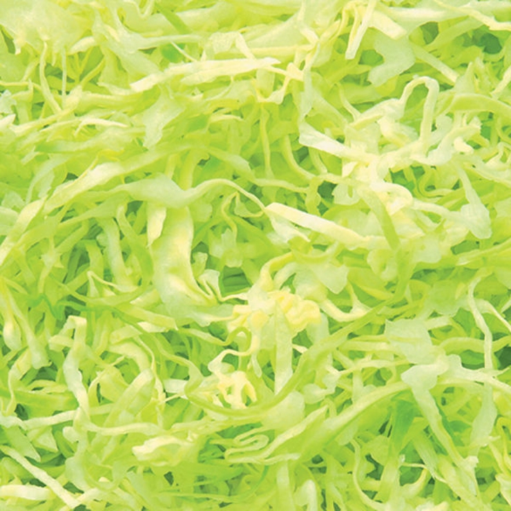 スライサー 四徳おろしスライサー VEGETABLE | livingut | 詳細画像9 