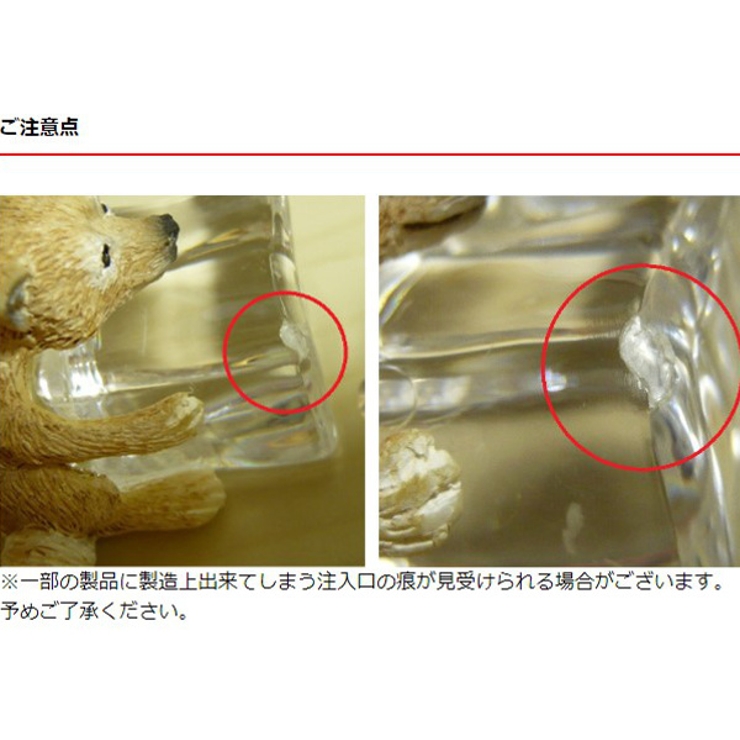置物 リス オブジェ | livingut | 詳細画像5 