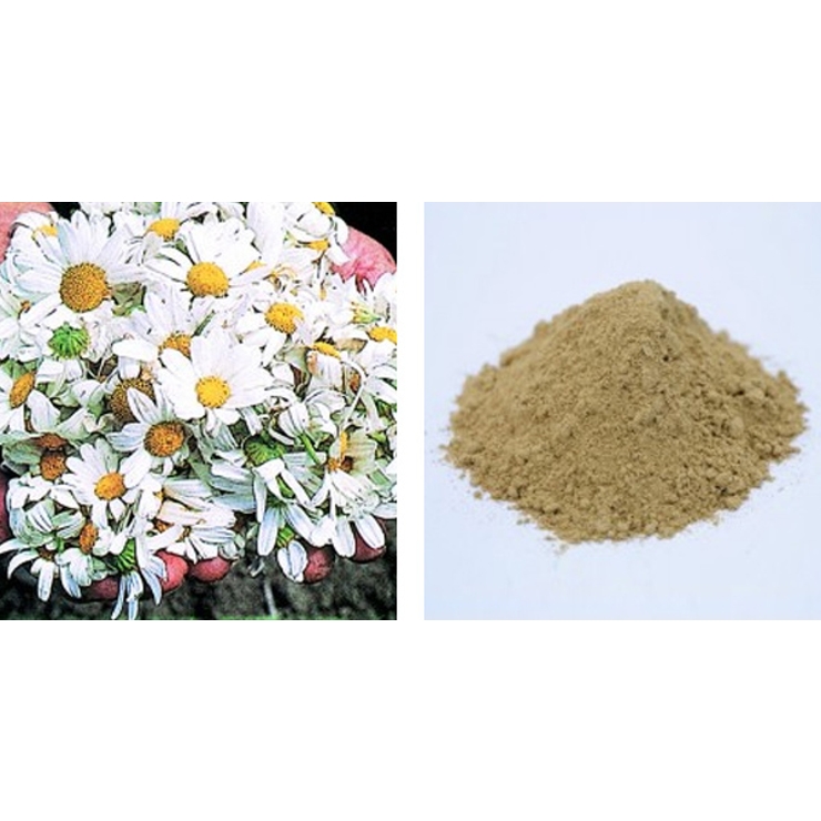 天然 蚊とり線香 プレミアム | livingut | 詳細画像4 