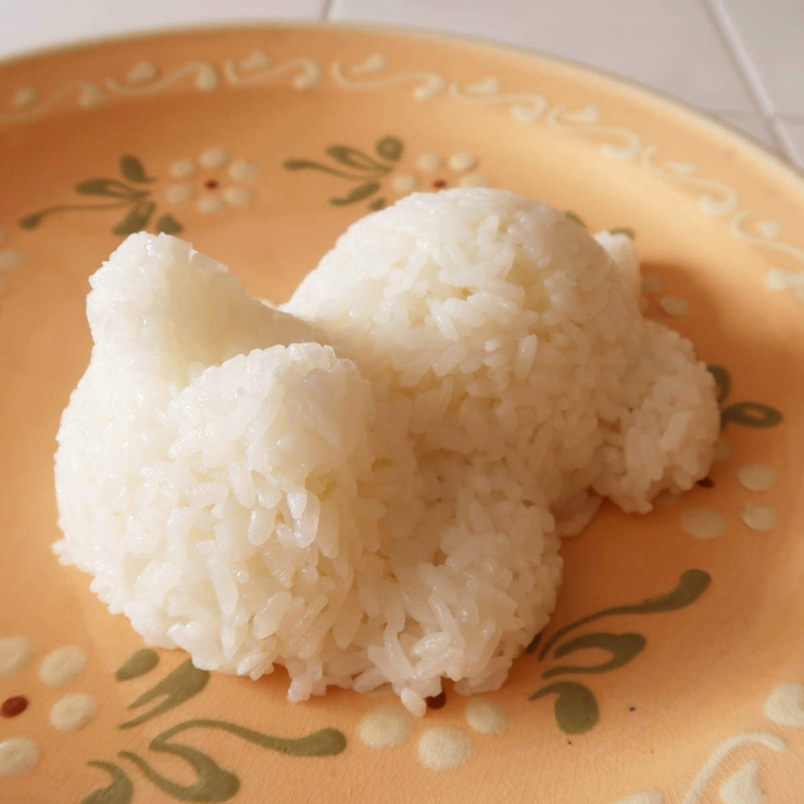 ごはん型 猫 ごはんdeニャン | livingut | 詳細画像12 