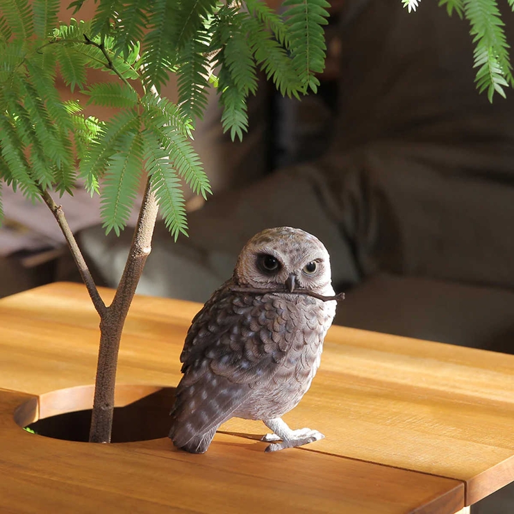 オブジェ BIRDIE BILL | livingut | 詳細画像6 