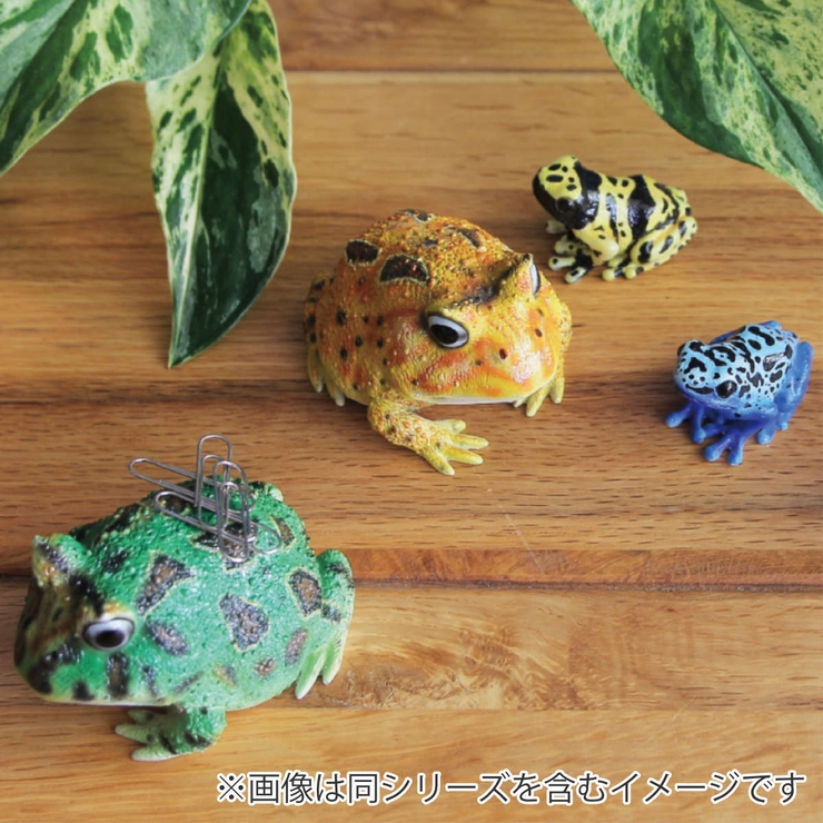 オブジェ REPTILES MAG | livingut | 詳細画像5 
