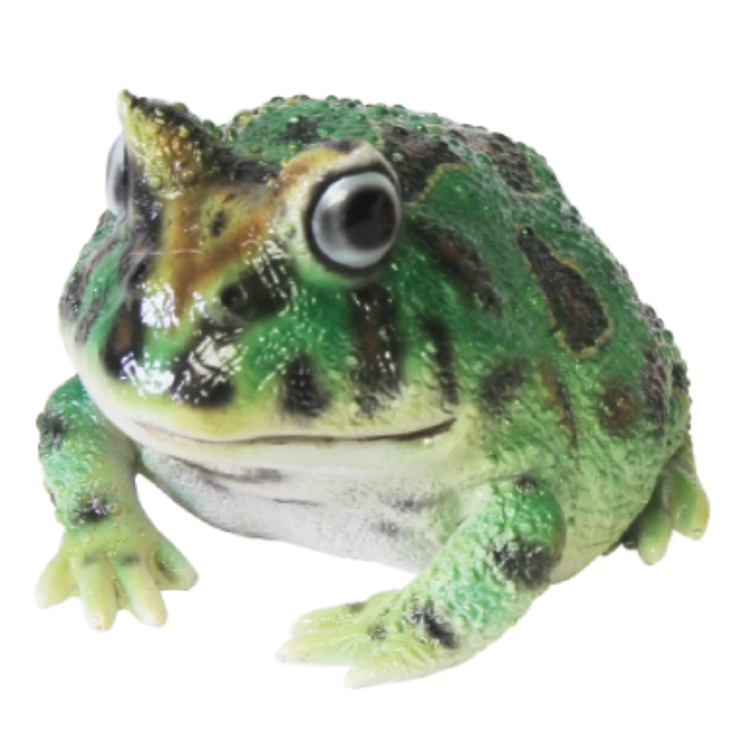 オブジェ REPTILES MAG | livingut | 詳細画像6 
